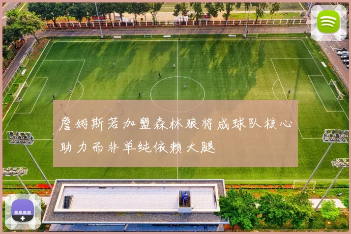 詹姆斯若加盟森林狼将成球队核心助力而非单纯依赖大腿