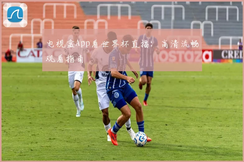 电视盒App看世界杯直播：高清流畅观看指南