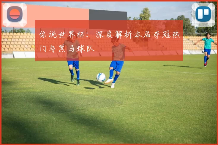 你说世界杯：深度解析本届夺冠热门与黑马球队