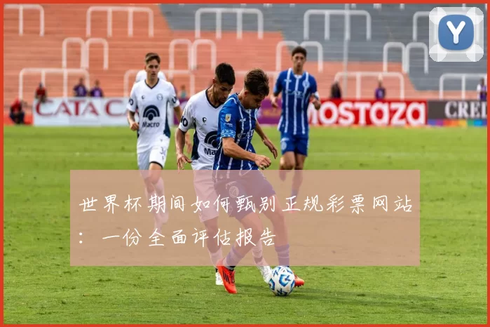 世界杯期间如何甄别正规彩票网站：一份全面评估报告