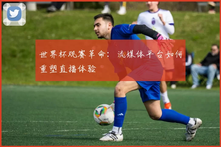 世界杯观赛革命：流媒体平台如何重塑直播体验