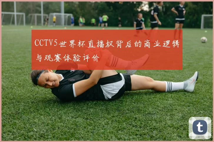 CCTV5世界杯直播权背后的商业逻辑与观赛体验评价