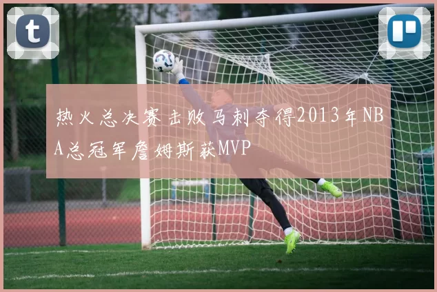 热火总决赛击败马刺夺得2013年NBA总冠军詹姆斯获MVP