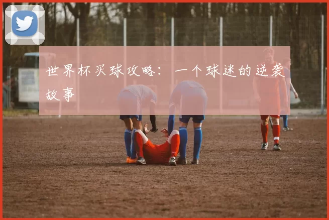 世界杯买球攻略：一个球迷的逆袭故事
