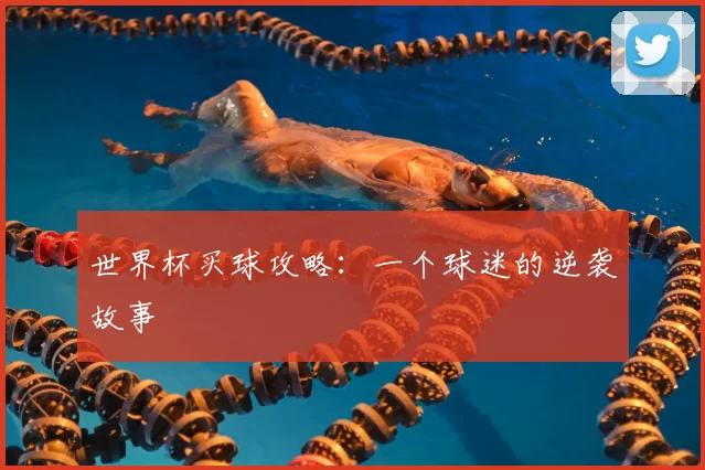 世界杯买球攻略：一个球迷的逆袭故事