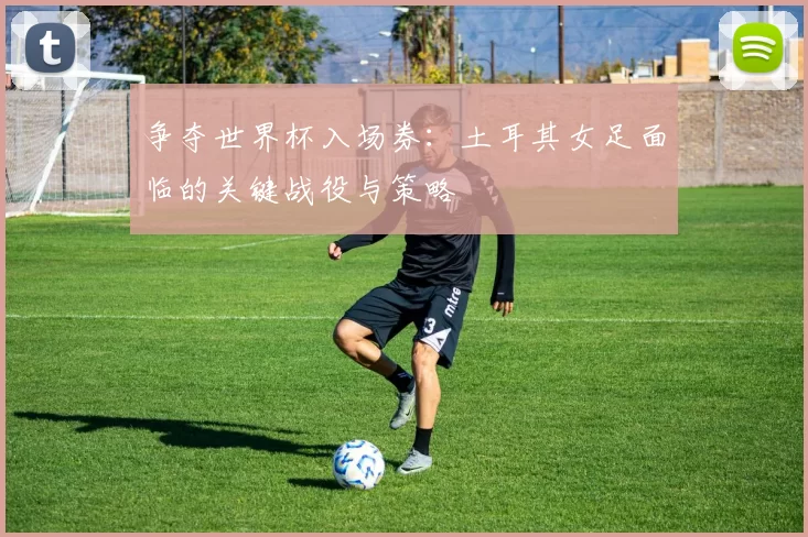 争夺世界杯入场券：土耳其女足面临的关键战役与策略