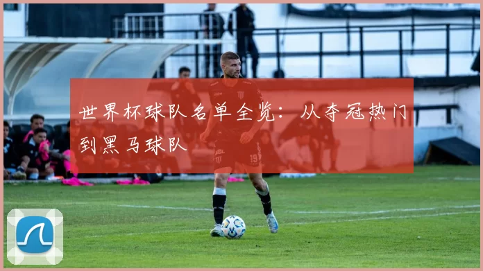 世界杯球队名单全览：从夺冠热门到黑马球队