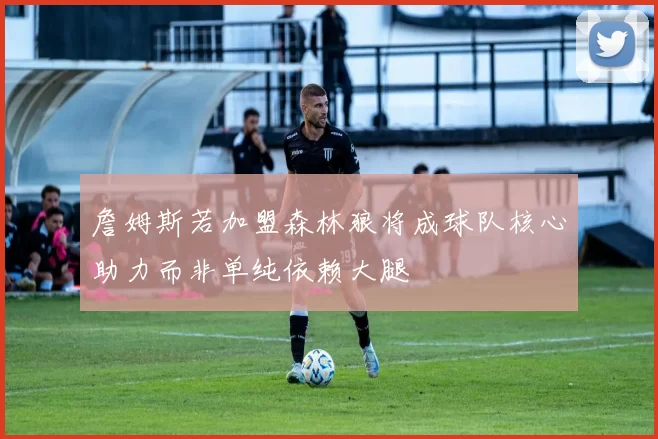 詹姆斯若加盟森林狼将成球队核心助力而非单纯依赖大腿