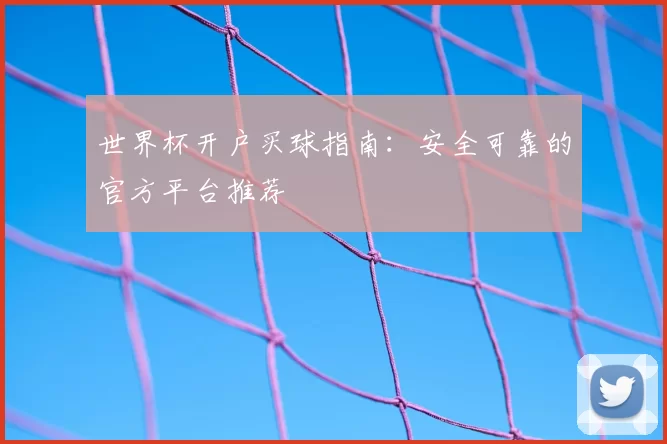 世界杯开户买球指南：安全可靠的官方平台推荐