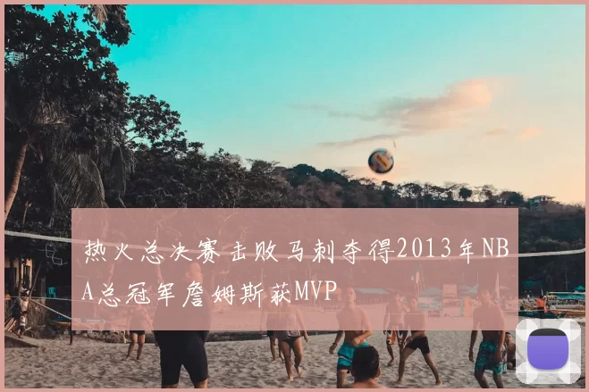 热火总决赛击败马刺夺得2013年NBA总冠军詹姆斯获MVP