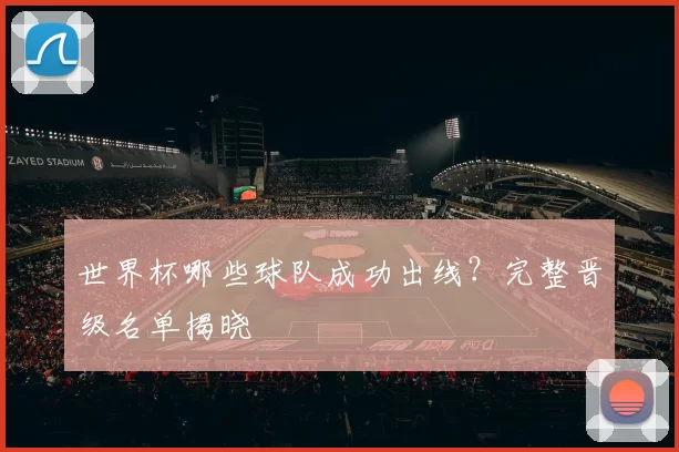 世界杯哪些球队成功出线？完整晋级名单揭晓