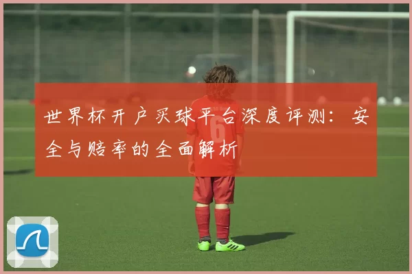 世界杯开户买球平台深度评测：安全与赔率的全面解析