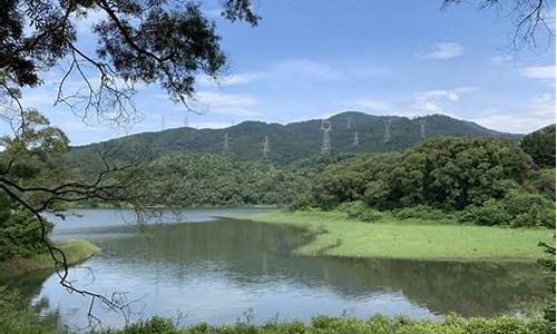 厦门天竺山森林公园地图_厦门天竺山森林公