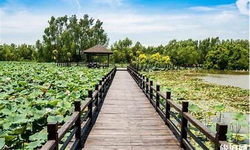 南沙湿地公园 住宿_南沙湿地公园住宿